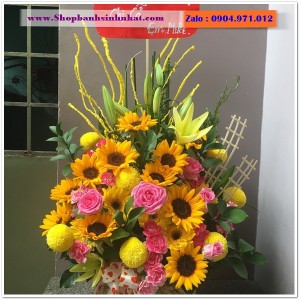 Hoa Tươi Tặng Khai Trương - OK52